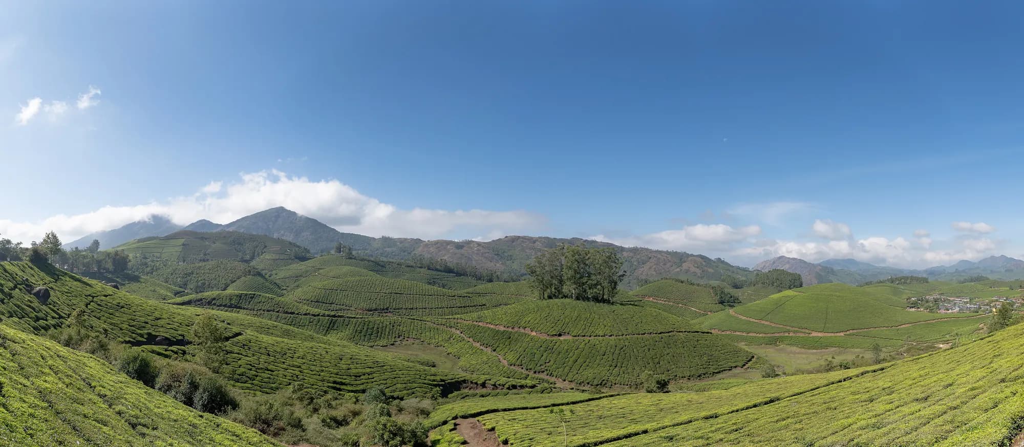 Kerala — Kochi · Munnar · Alleppey